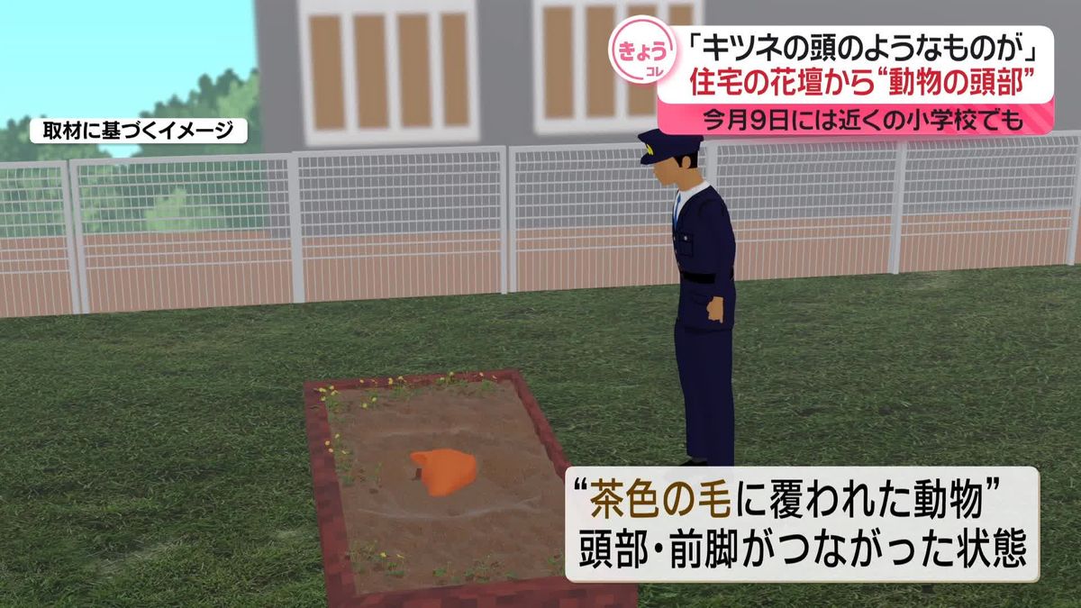 「キツネの頭のようなものが…」住宅の花壇から"動物の頭部"　今月９日には近くの小学校でも見つかる