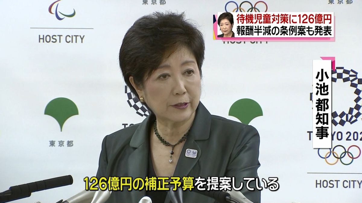 小池都知事　待機児童対策に１２６億円