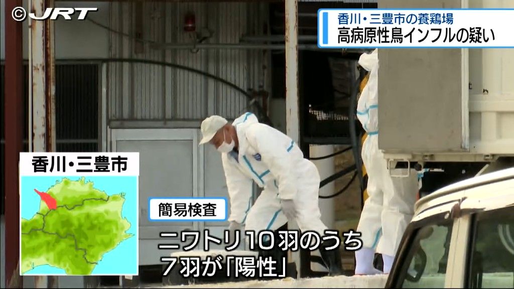 香川県三豊市の養鶏場で高病原性鳥インフルエンザの疑い　県は危機管理会議を開く【徳島】