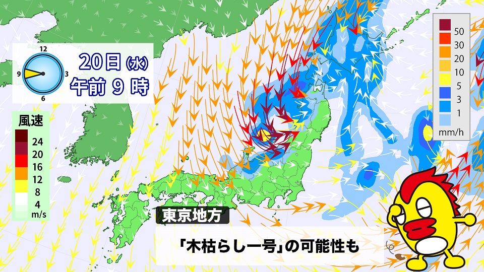 ２０日（水）東京で木枯らし１号の可能性も