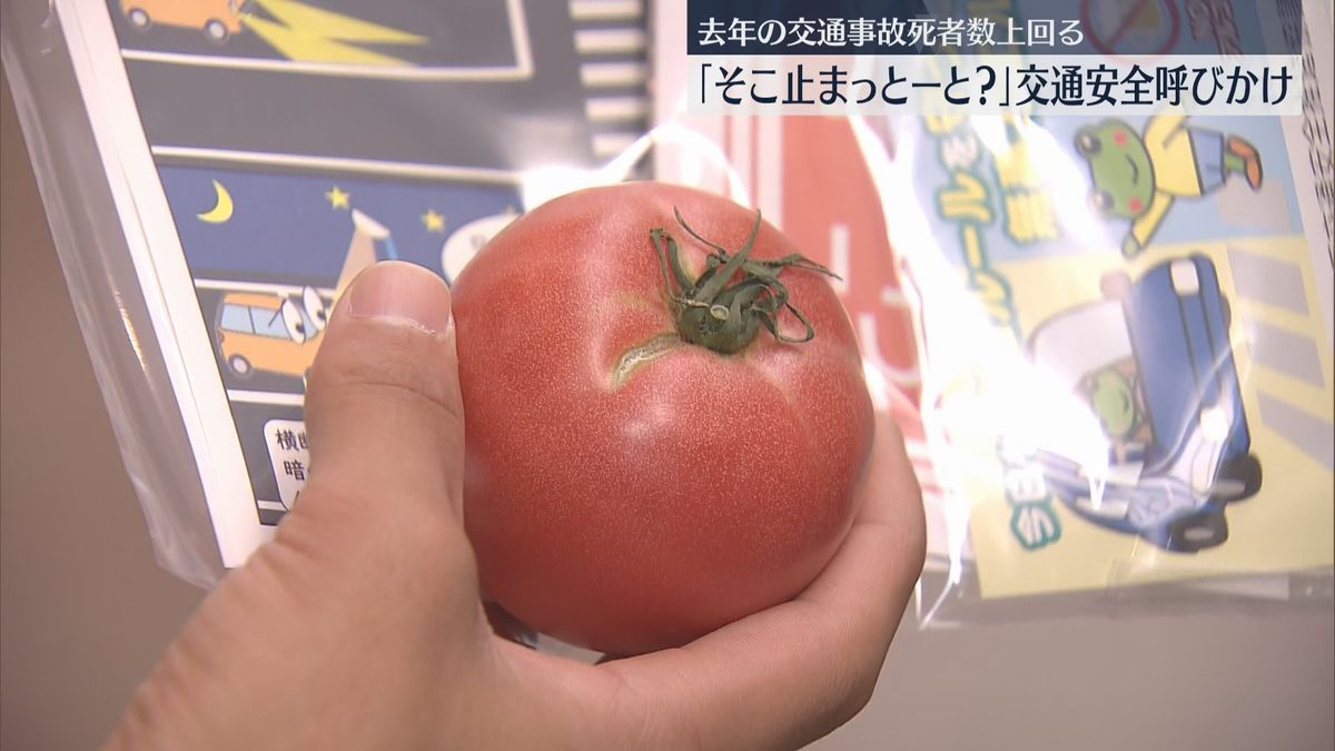 「トマっト～と！」トマトの日にトマトを配り　交通安全を呼びかけ