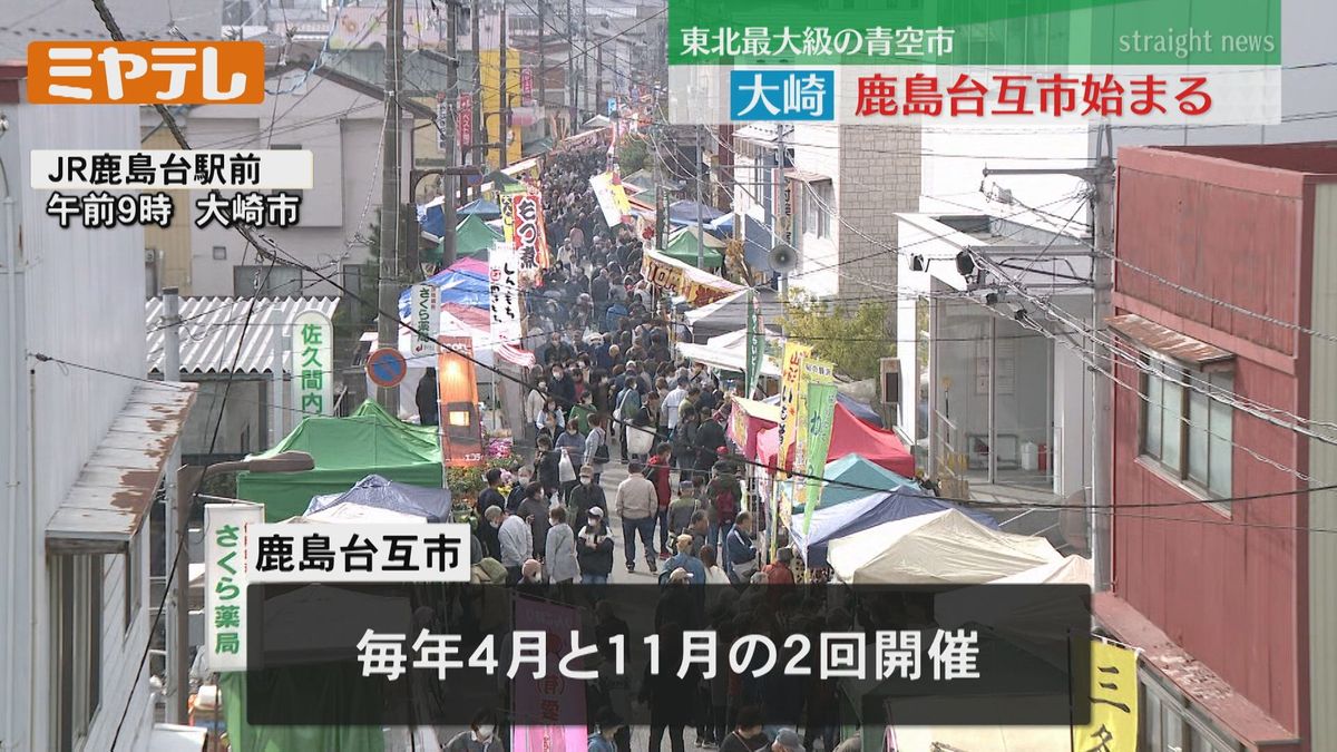 【東北最大級の青空市】明治時代から続く伝統の「鹿島台互市」10日から始まる（宮城・大崎市）