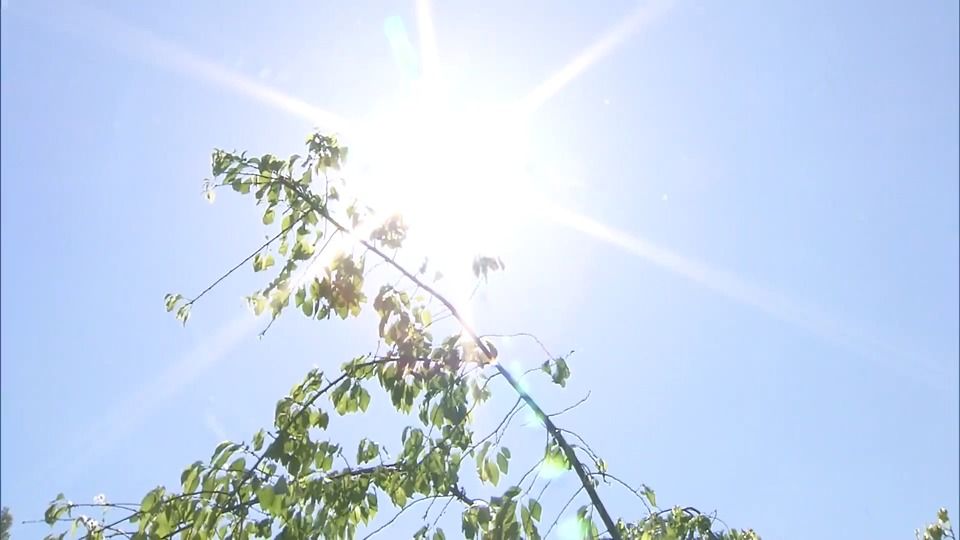 全国96地点で今年1番の暑さ　あすは各地で「真夏日」か　年々増加…紫外線に注意！