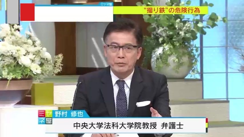 野村弁護士「科料で軽い刑になっている」