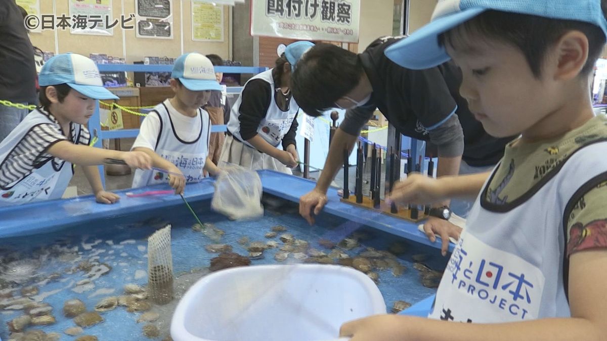 「僕もやってみたいな」　児童が水族館の仕事の魅力を体感　飼育員や広報の仕事に挑戦　鳥取県鳥取市