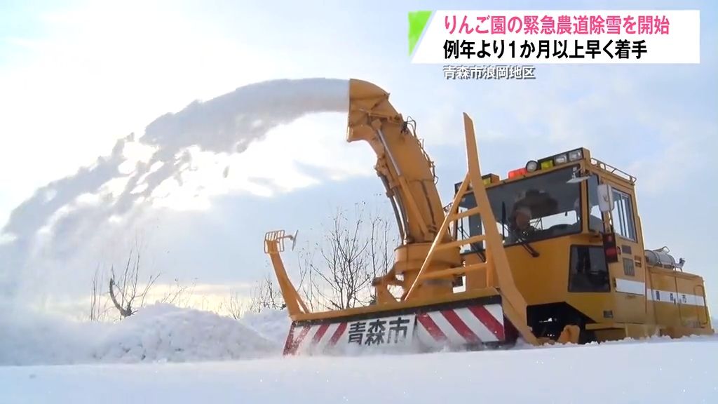 りんごの豪雪被害を最小限に…農道の緊急除雪“1ヶ月以上前倒し”　青森県青森市浪岡