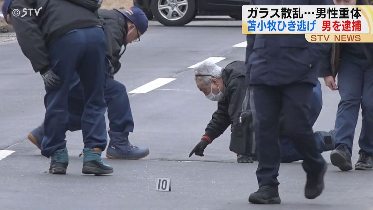 ひき逃げで逮捕・28歳男の供述「シカとぶつかったと思っていた」　北海道苫小牧市　