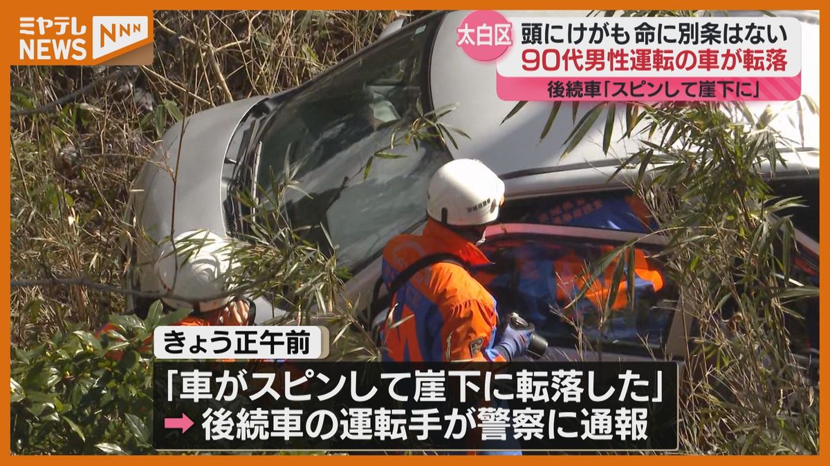 「車がスピンして崖下に…」90代男性が運転する車が転落…頭にケガも命に別条なし（仙台市太白区）