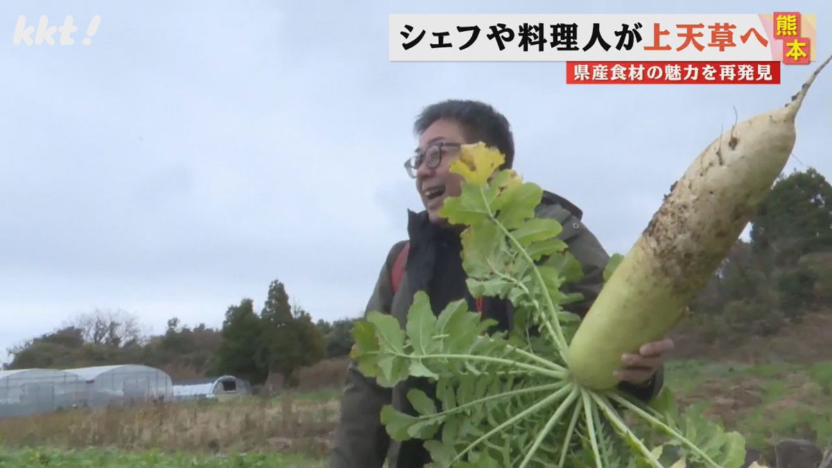 湯島大根の収穫を体験