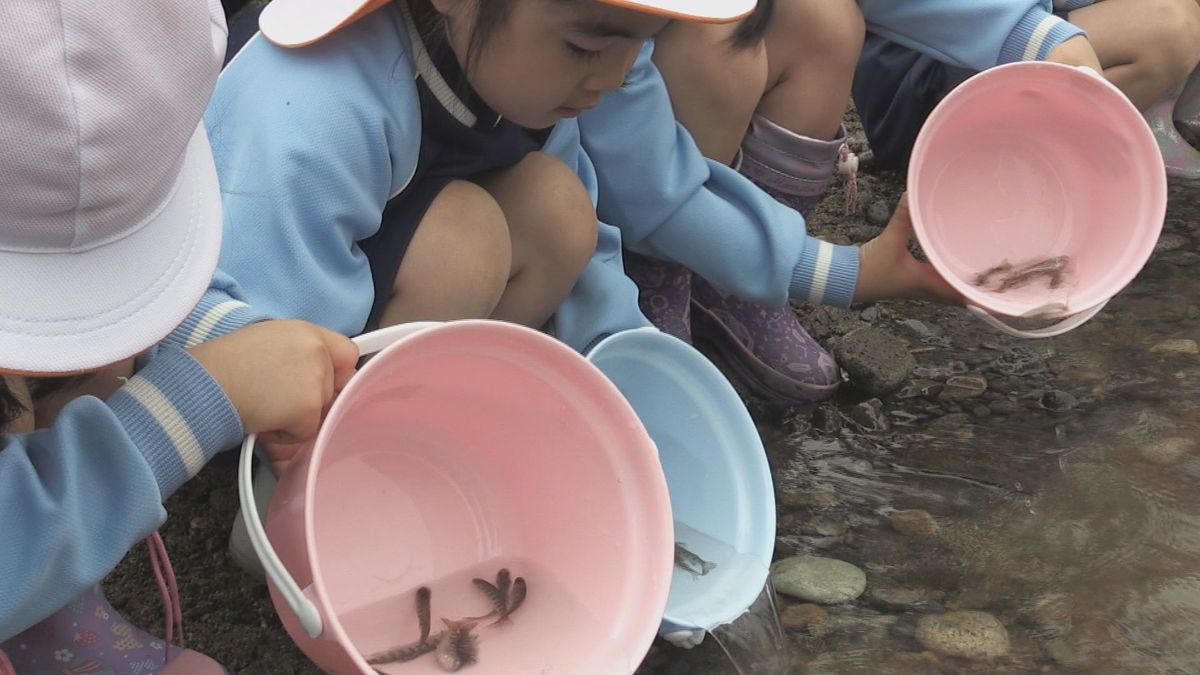 サクラマスの稚魚放流　園児「大きくなって帰ってきてね」　永平寺町･九頭竜川