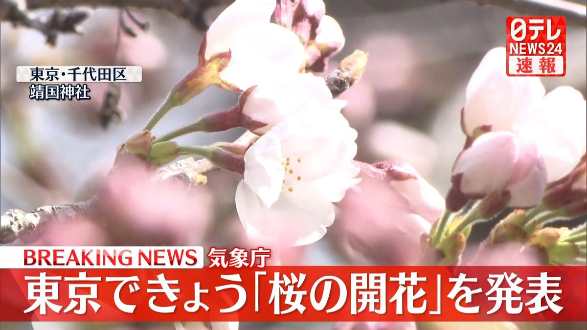 気象庁　東京できょう｢桜の開花｣を発表