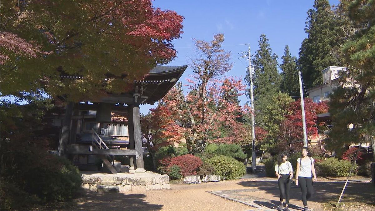 モミジやイチョウが赤や黄色に色づく　紅葉の人気スポット「天照寺」で紅葉が見頃 　観光客が秋の高山を満喫　岐阜・高山市