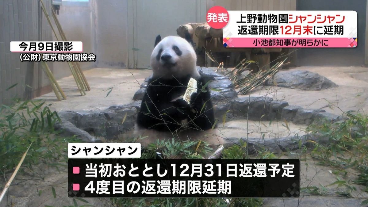 上野パンダ「シャンシャン」中国への返還期限が12月末まで延期　東京都