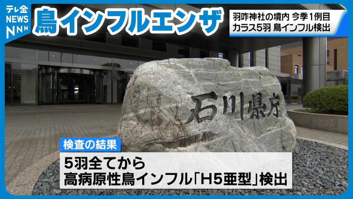 羽咋市の神社境内のカラスから鳥インフル　H5亜型検出　石川県内今シーズン初