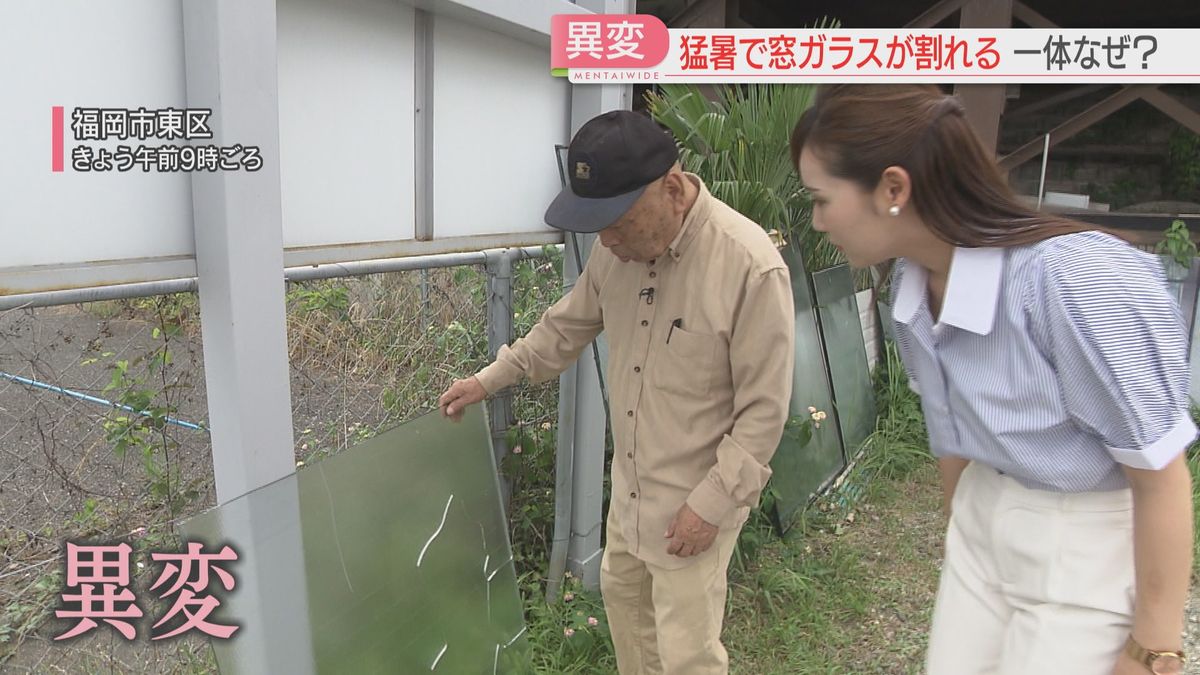 【猛暑で異変】窓ガラスの「熱割れ」とは　ブルーベリーに「しわ」　8日は県内各地で35℃超え　ことし一番の暑さに　9日も「危険な暑さ」に警戒を　福岡