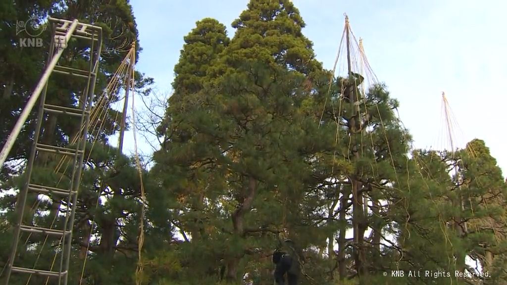 本格的な雪に備え　内山邸で雪つり　富山市