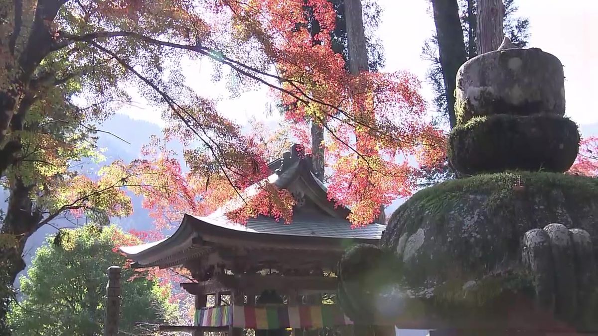 紅葉が見ごろ！大豊町の定福寺 100本の木々が色づく【高知】