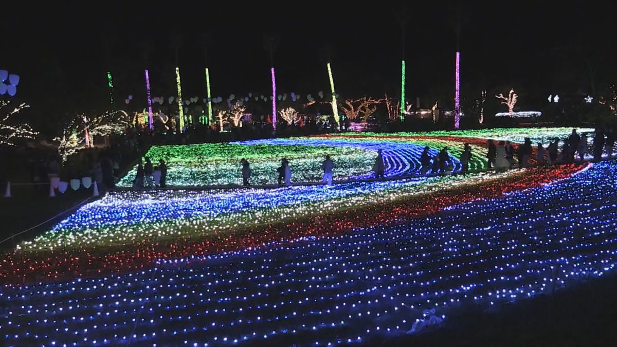  冬を彩るイルミネーション”植物と光で幻想的な世界” 指宿市フラワーパークかごしま