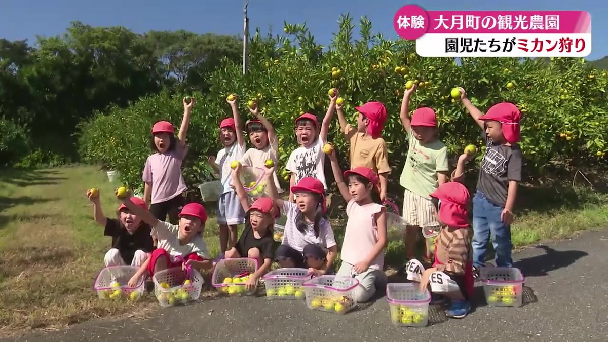 果汁たっぷりミカン！園児たちが収穫体験【高知】