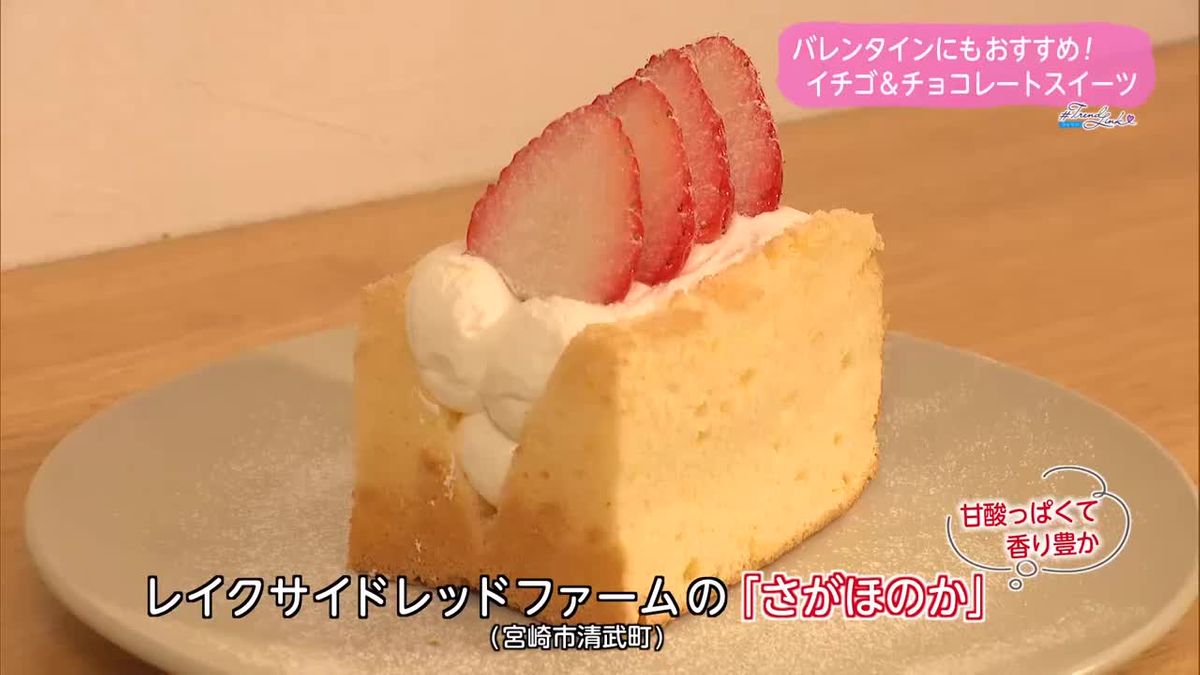 甘いもの好きにはたまらないお店　イチゴ＆チョコレートスイーツ【トレリン】