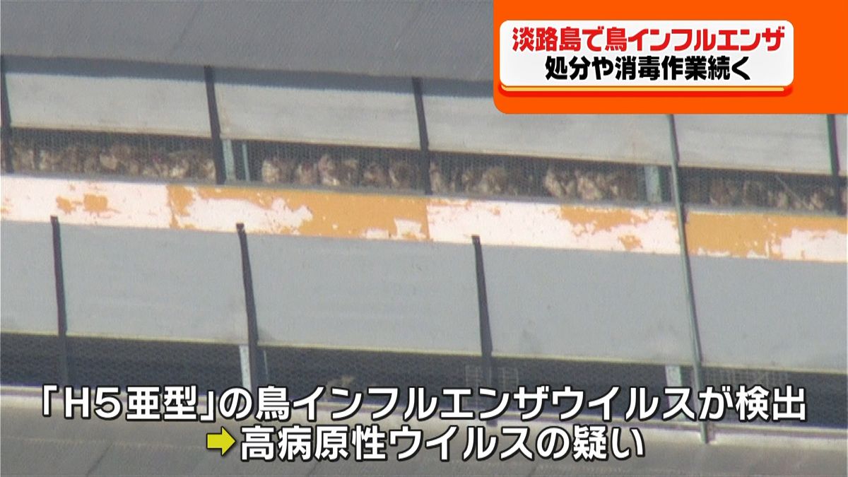 兵庫・淡路市の養鶏場で鳥インフルエンザ