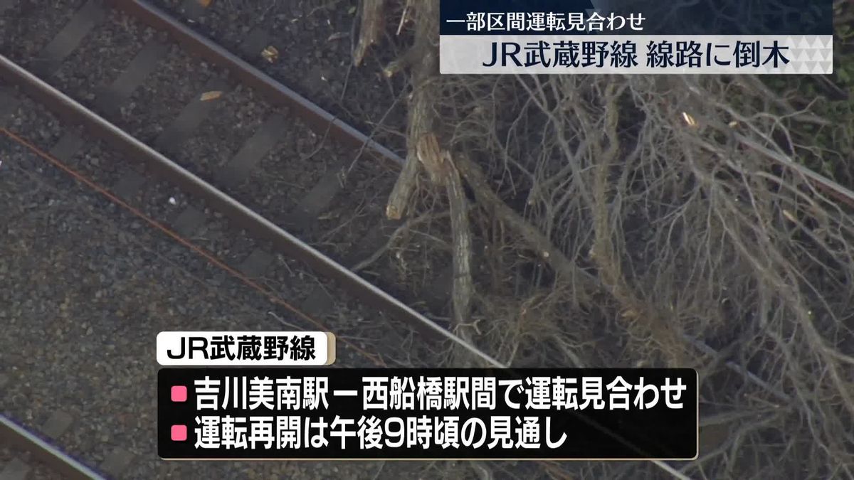 JR武蔵野線の線路に倒木　一部区間で運転見合わせ　再開は午後9時頃の見通し