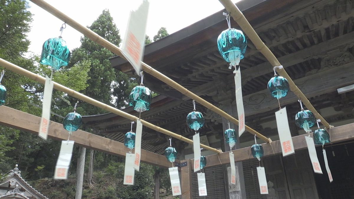 境内に涼しげな音色 小浜市の寺に青い風鈴飾る かき殻も材料に