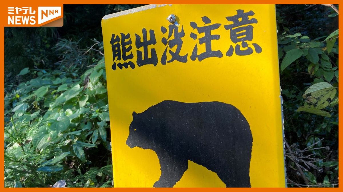 「クマと衝突しました」宮城県栗原市でクマが軽自動車と衝突