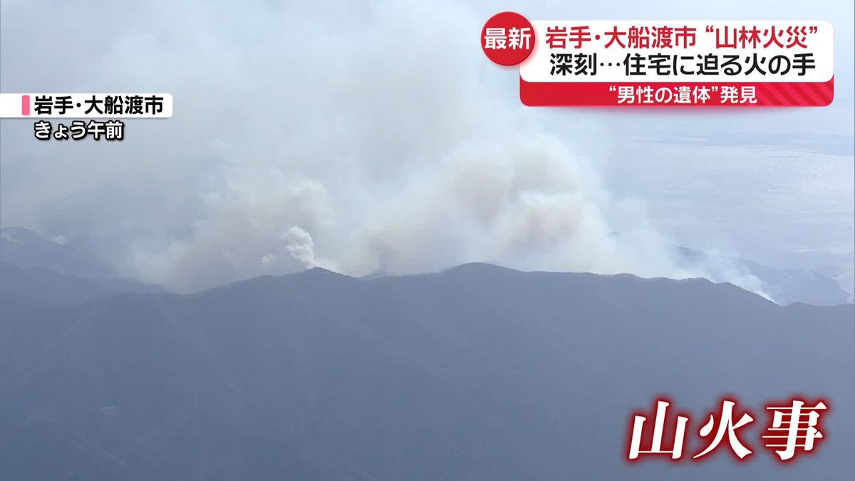 岩手・大船渡市の“山林火災”　住宅に迫る火の手　今も白煙…消火活動は難航