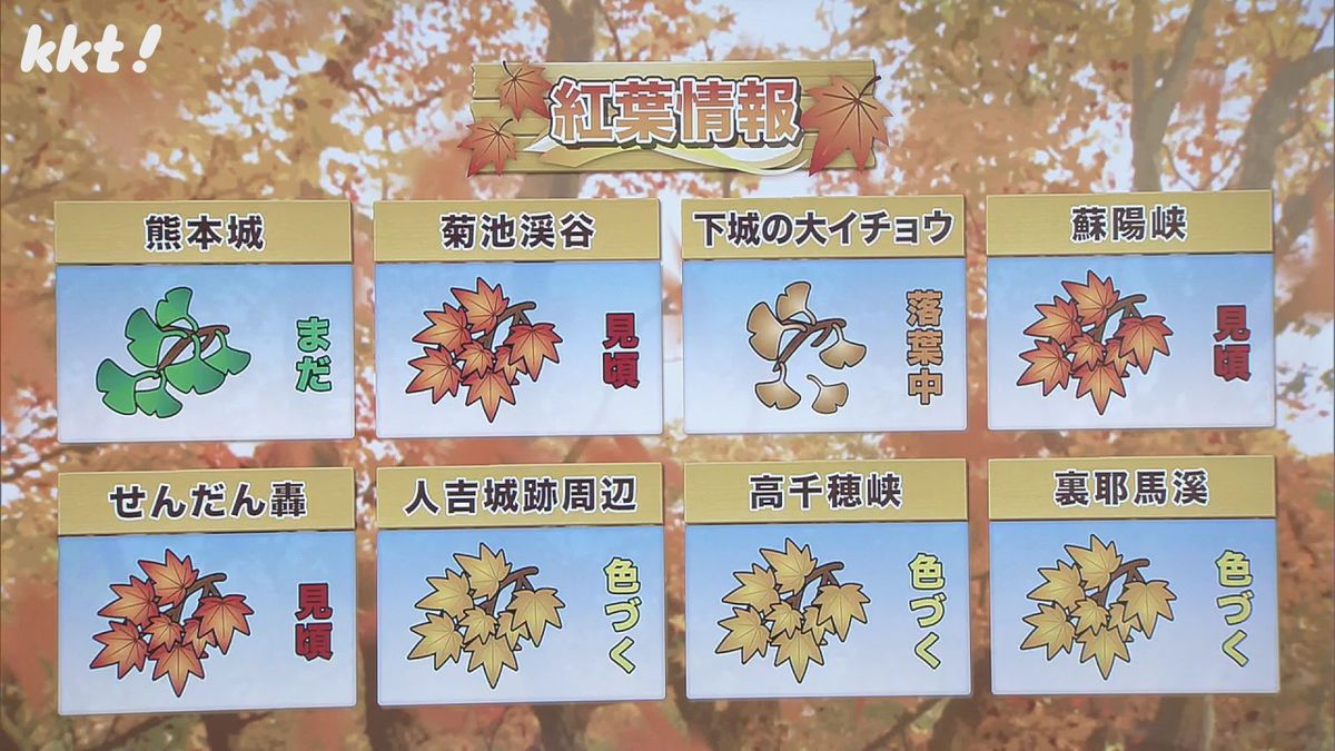 20日時点の熊本県内の紅葉情報