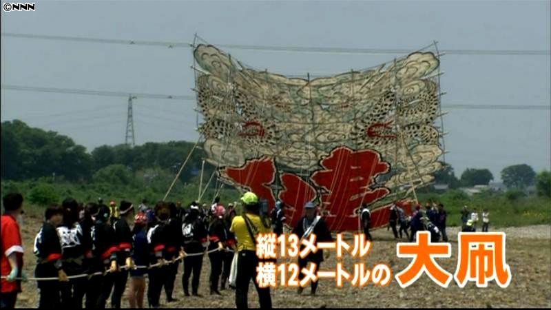 空舞う百畳敷きの大凧　滋賀・東近江で祭り