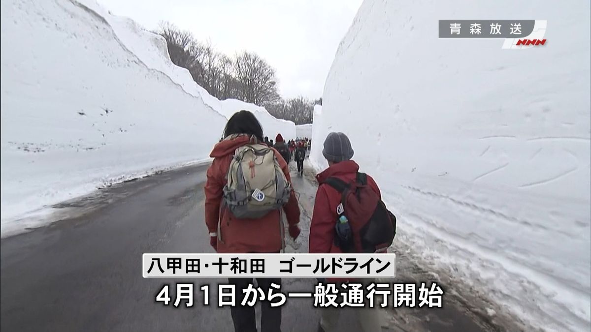 美しい雪の回廊を楽しむ　八甲田ウォーク