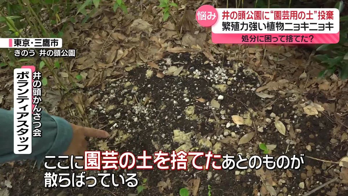 “園芸用の土”を公園に投棄…処分に困り？　ホームセンター・自治体がリサイクルも…