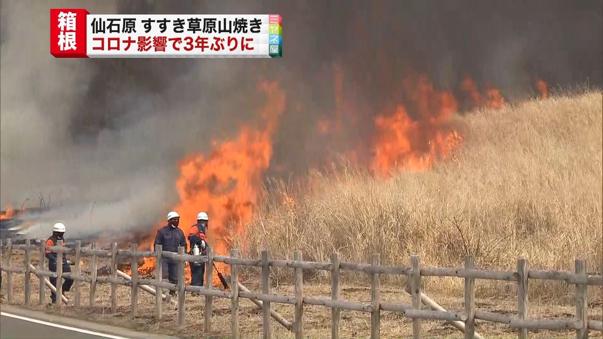 3年ぶり　箱根町の仙石原ですすきの山焼き