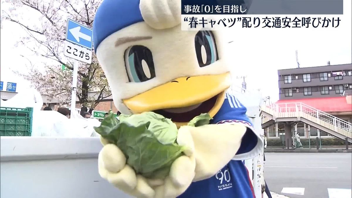 “丸い野菜”配って交通安全呼びかけ　神奈川県警が交通事故「0」目指す