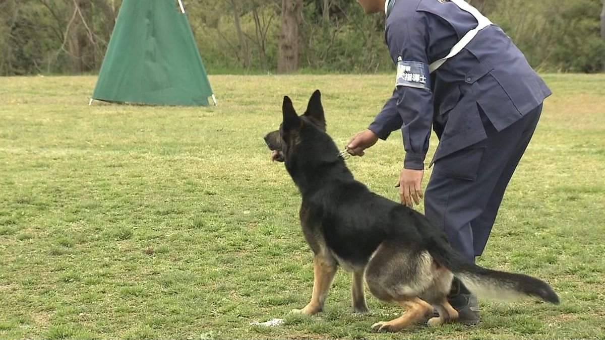 民間から警察犬を選出「嘱託警察犬」審査会