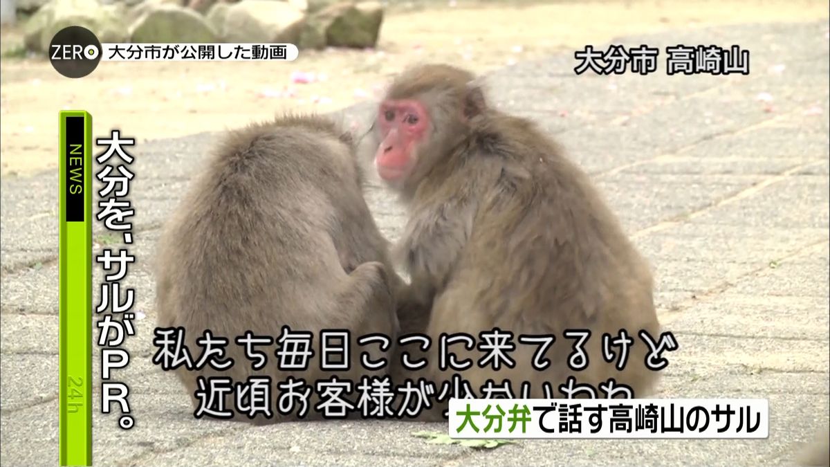 高崎山サルが大分弁でＰＲ　熊本にもエール