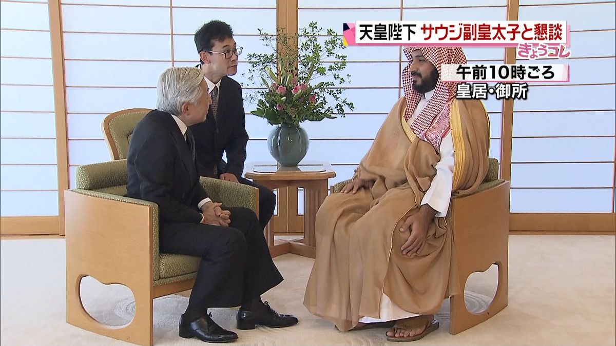 天皇陛下、サウジ副皇太子と懇談