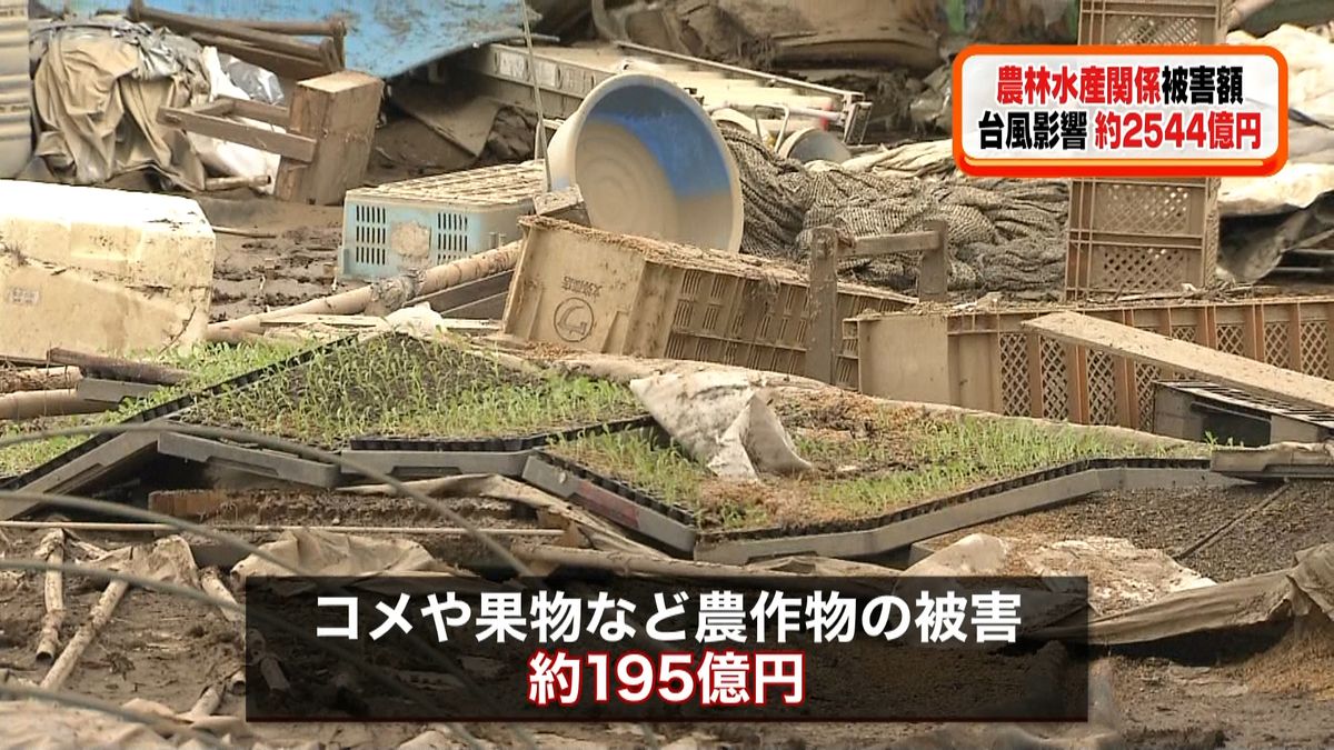 台風１９号と大雨　農水被害２５００億円超