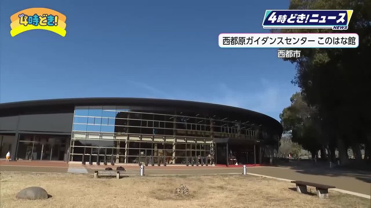 菜の花と桜の共演が楽しみ　西都原このはな館リニューアル内覧会