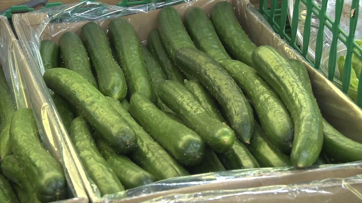 農水省担当者に聞く！野菜の価格動向