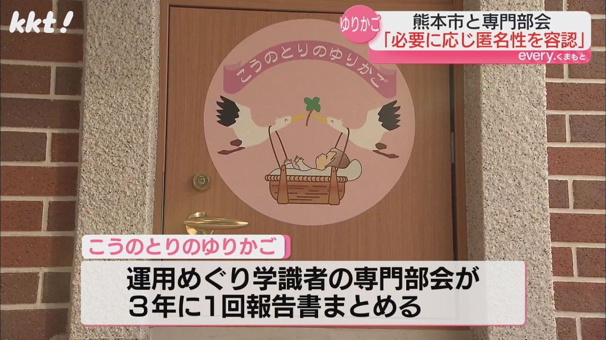 専門部会が3年に1回報告書まとめる