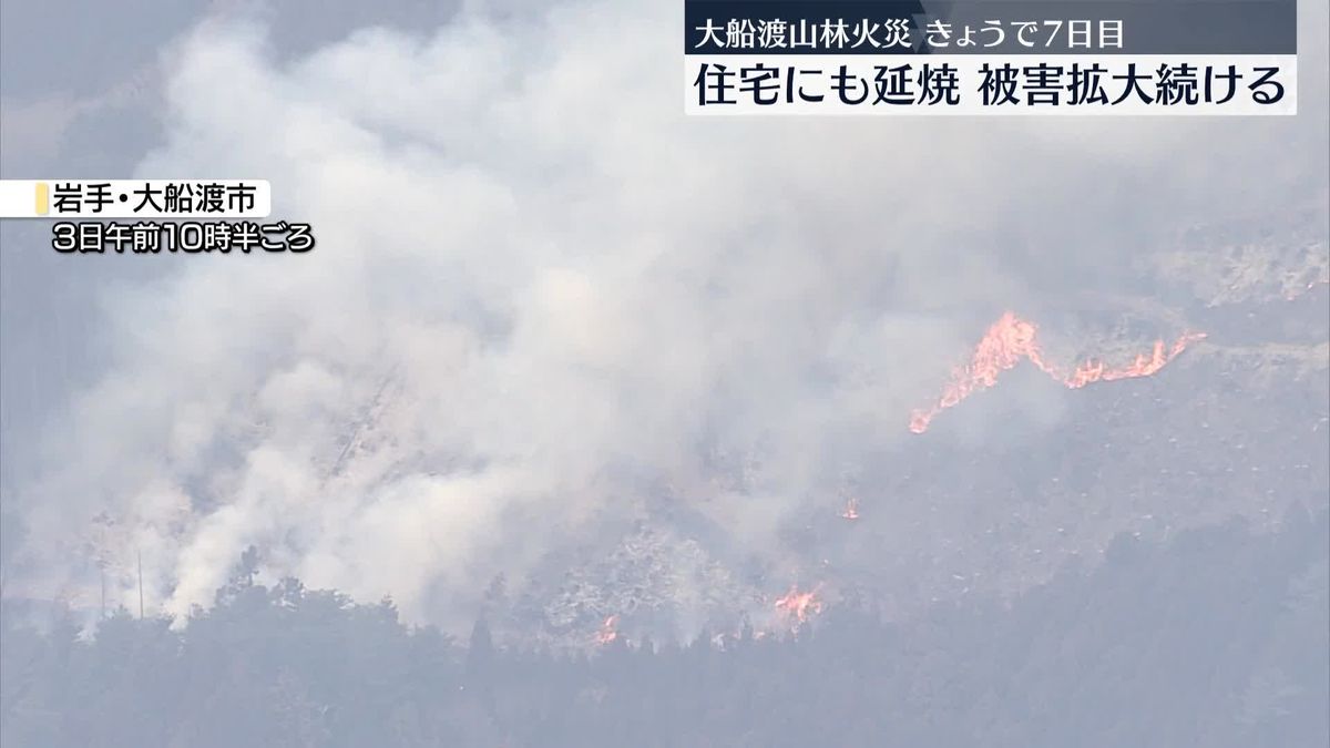 大船渡山林火災　住宅にも延焼…被害拡大　きょうで7日目