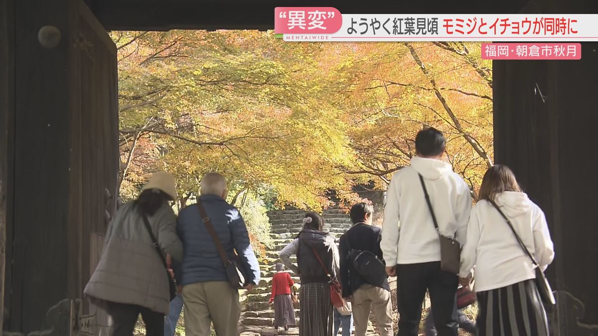 【異変】12月なのに暖かい　紅葉の名所ようやく見頃に　ことしは「最も暑い秋」だった　デパートの売り場にも変化　福岡