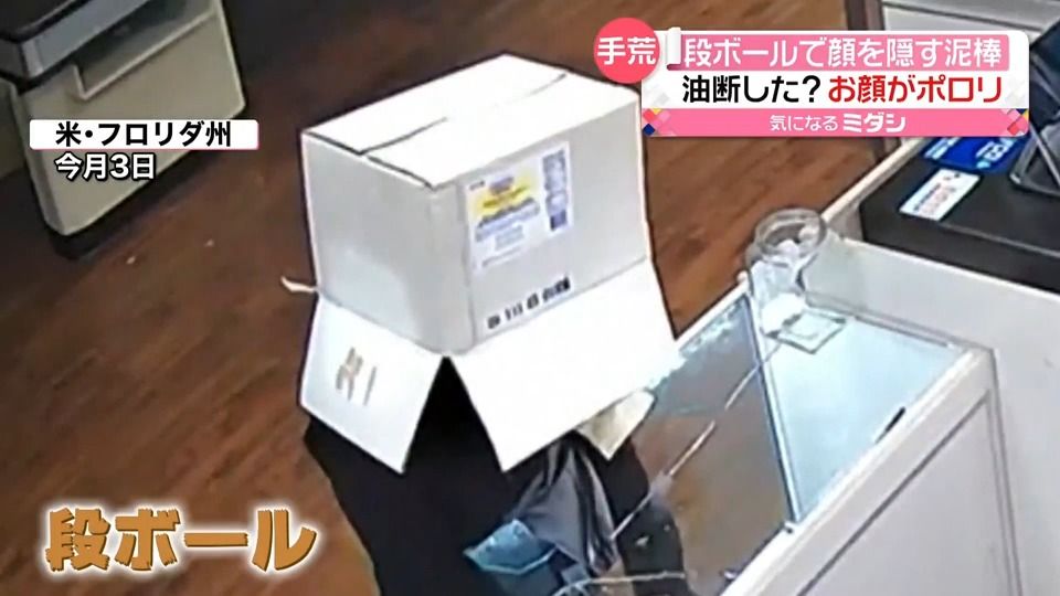 “段ボールをかぶった泥棒”にハプニング！　店主が防犯カメラで監視「笑ってしまった」　アメリカ