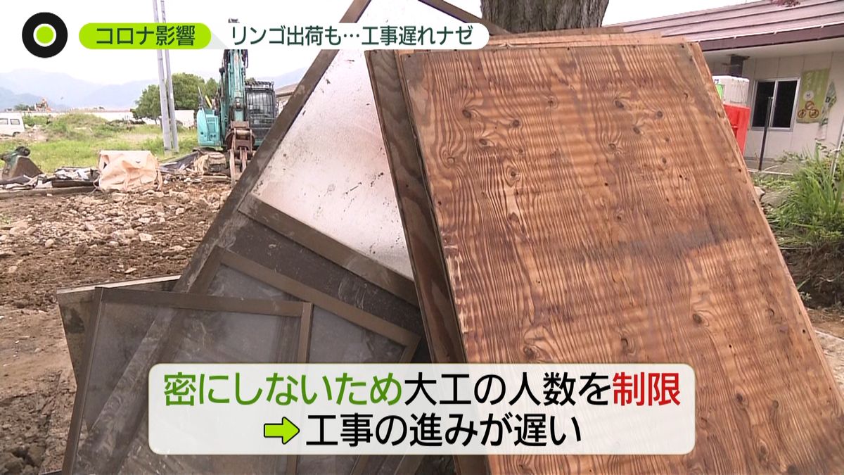 台風被災のリンゴ農家　コロナで復興に遅れ