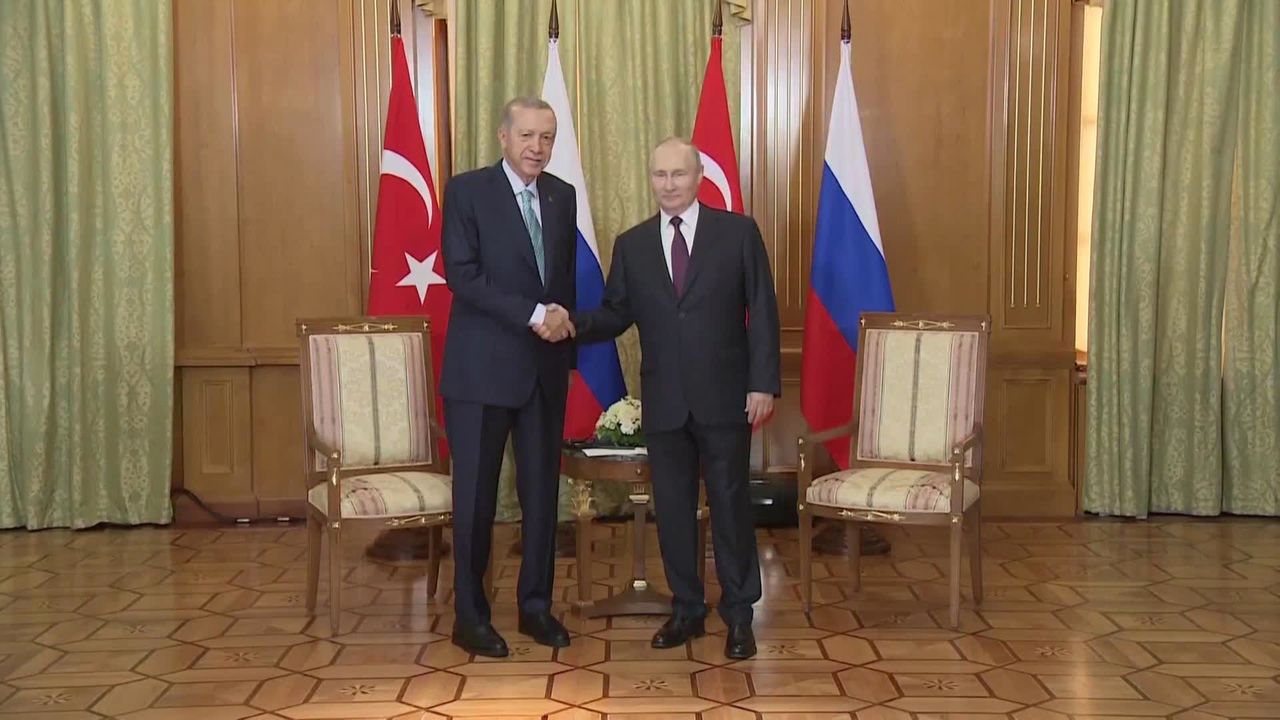 “穀物合意”進展みられず　ロシア・トルコ首脳会談