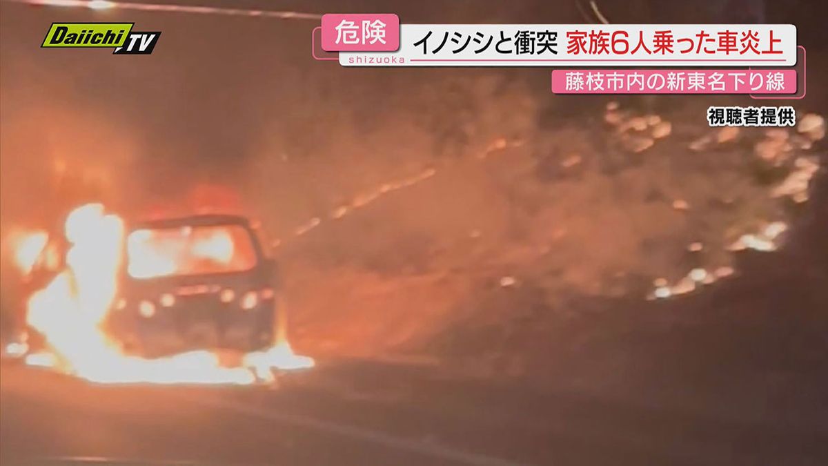 【新東名でイノシシと衝突】事故車は炎上も乗員６人は逃げ無事…警察は野生動物との衝突に注意呼びかけ(静岡)