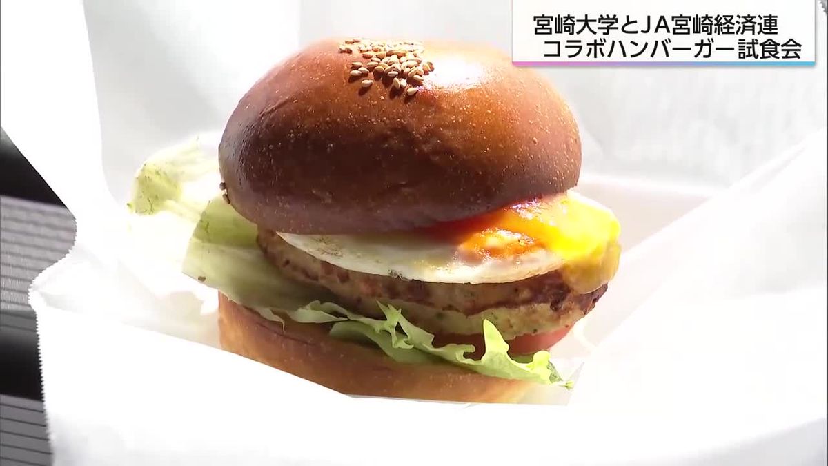 日向夏ケチャップがポイント！　宮崎大学とJA宮崎経済連　ハンバーガー販売へ