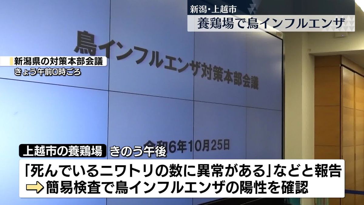 養鶏場で鳥インフルエンザ確認、今シーズン全国で3例目　新潟・上越市